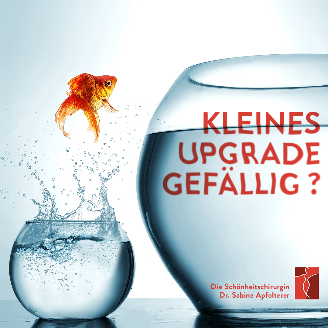 Social Media Apfolterer